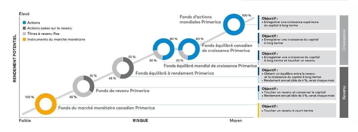 Porfolio Graphic